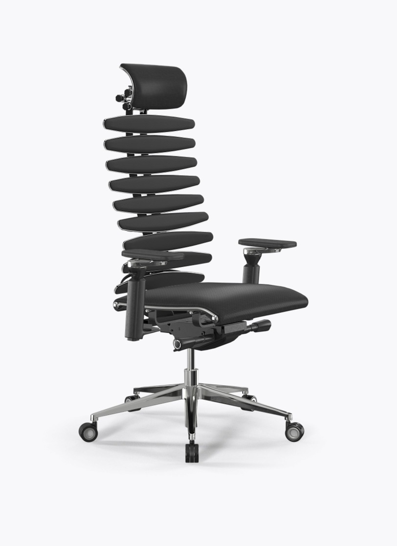 Ergolux-spine-s1